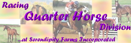 Quarter Horse